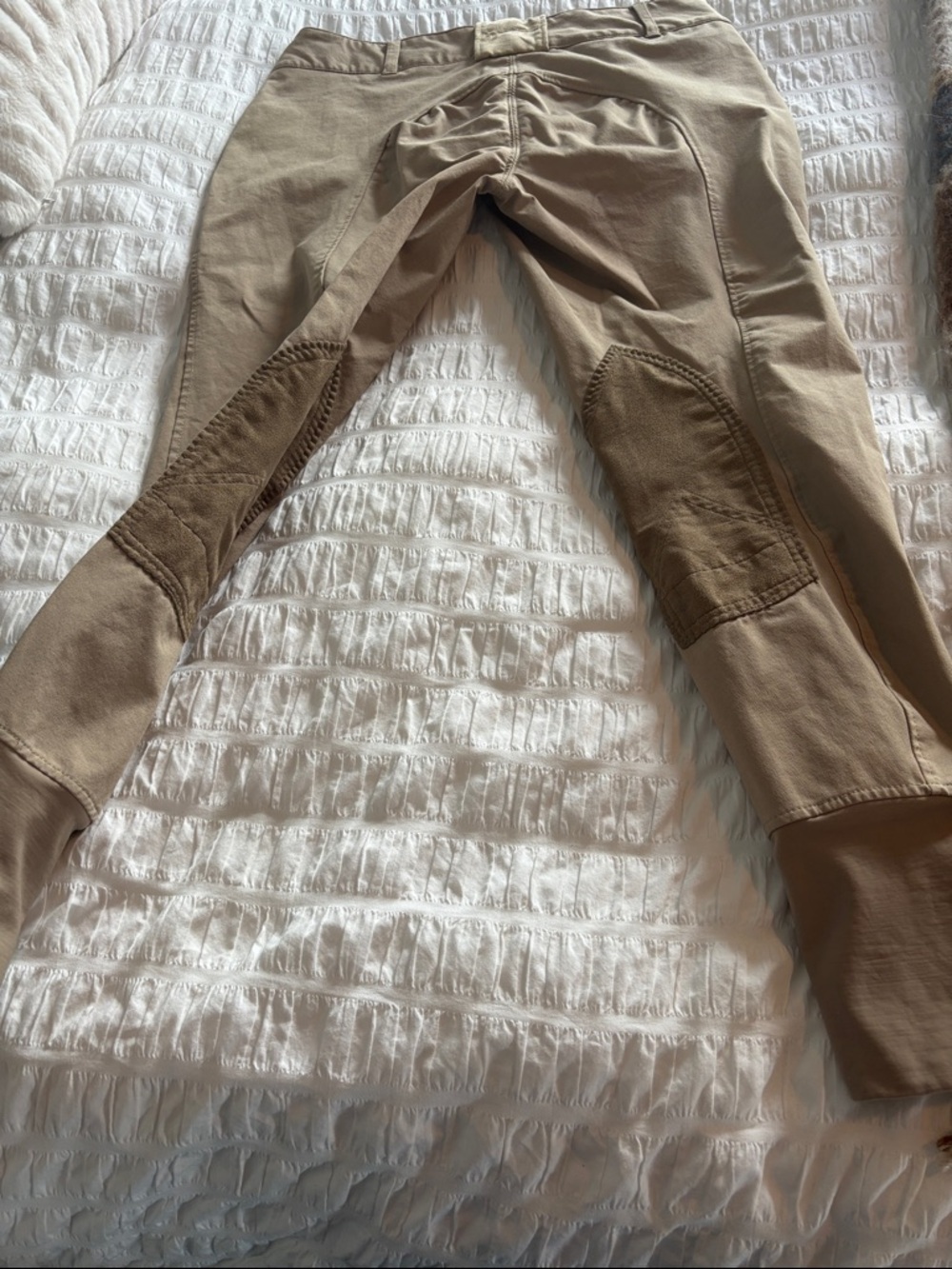 Equine Couture Tan Riding Breeches - Picture 10 of 11
